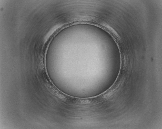 X0000075840878200609221702