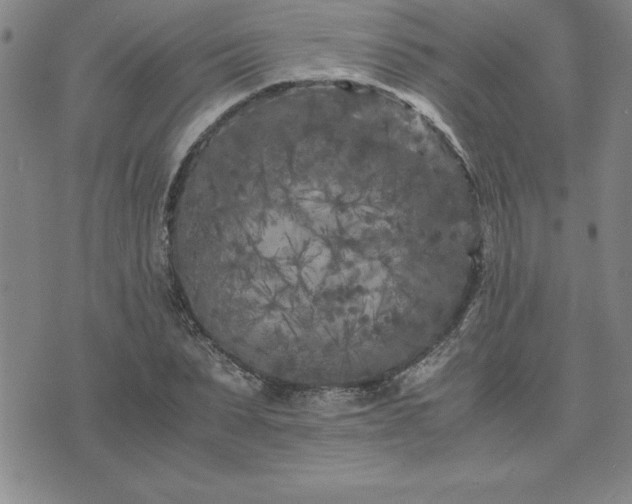 X0000075840879200609221702