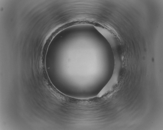 X0000075840880200609221702