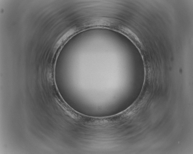 X0000075840882200609221702