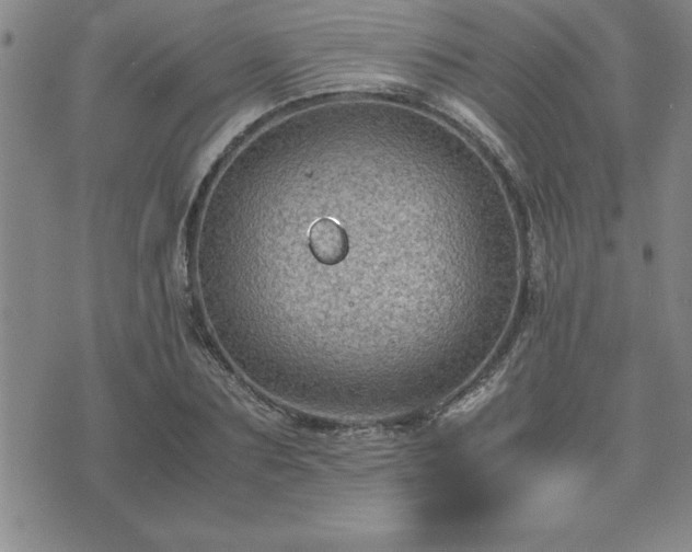 X0000075840883200609221702