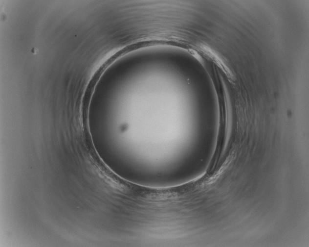 X0000075840884200609221702