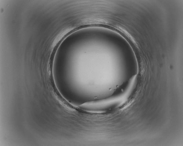 X0000075840885200609221702