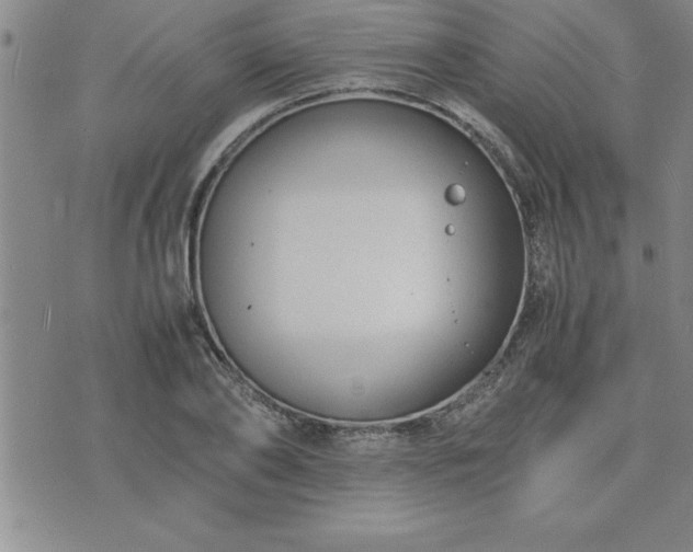 X0000075840886200609221702