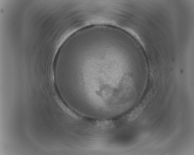 X0000075840887200609221702