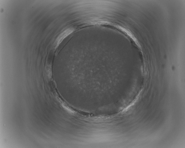 X0000075840889200609221702