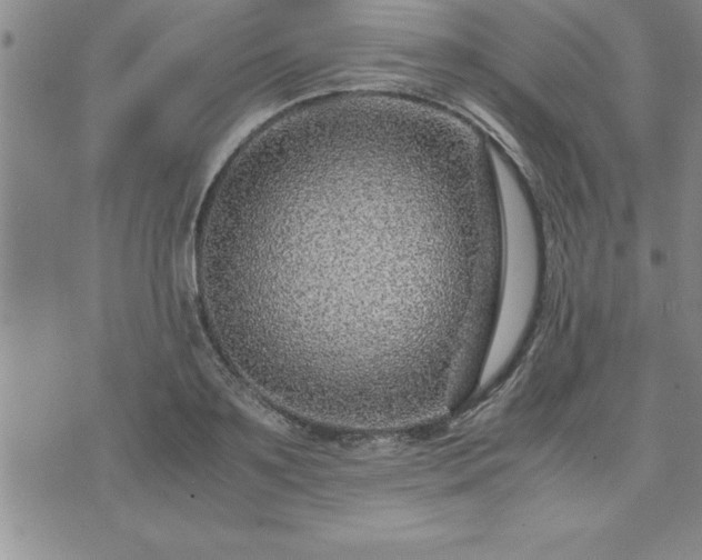 X0000075840891200609221702