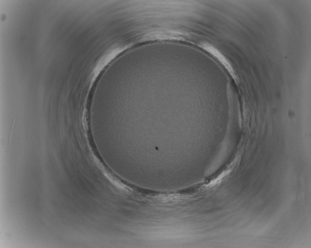 X0000075840893200609221702