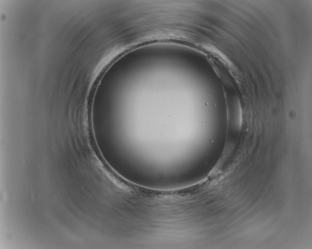 X0000075840894200609221702