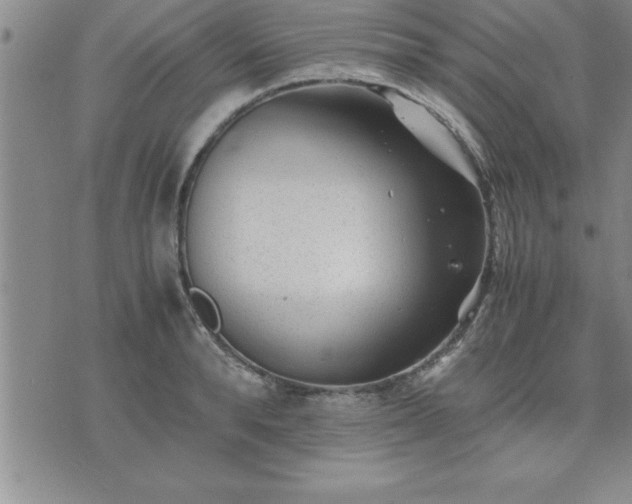 X0000075840896200609221702