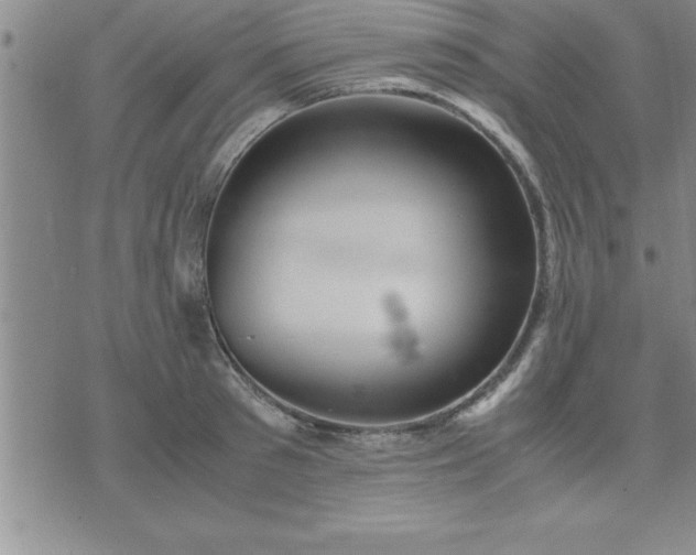 X0000075840897200609221702