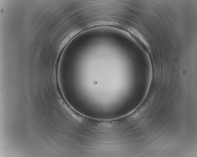 X0000075840898200609221702