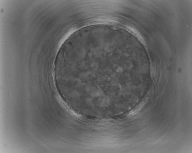 X0000075840899200609221702