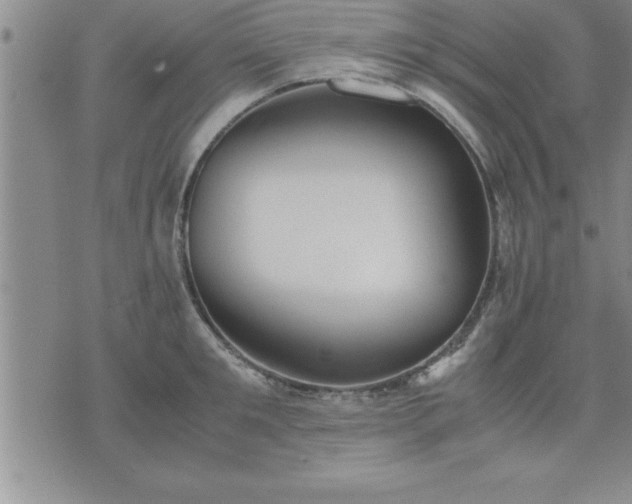 X0000075840901200609221702