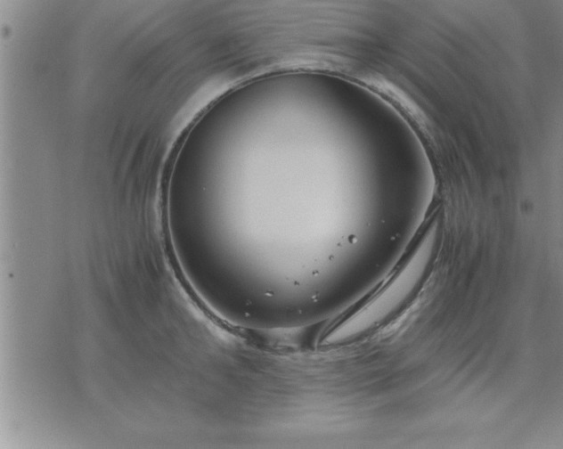 X0000075840902200609221702