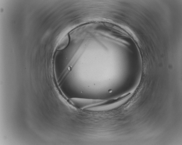 X0000075840903200609221702