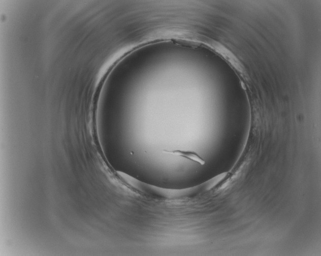 X0000075840904200609221702