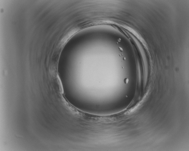 X0000075840905200609221702