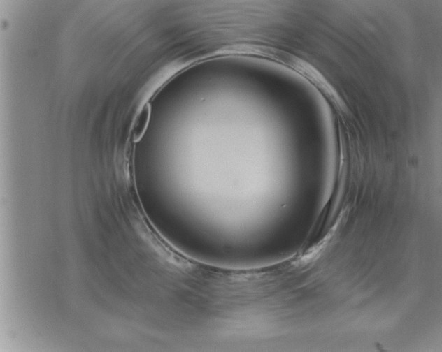 X0000075840908200609221702