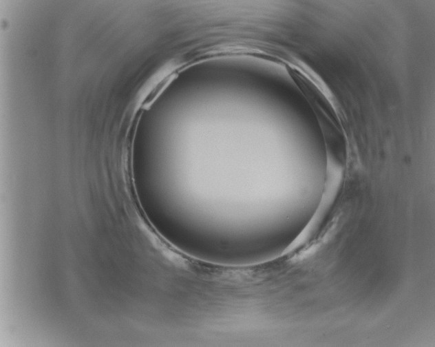 X0000075840909200609221702