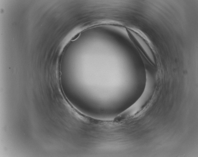 X0000075840910200609221702