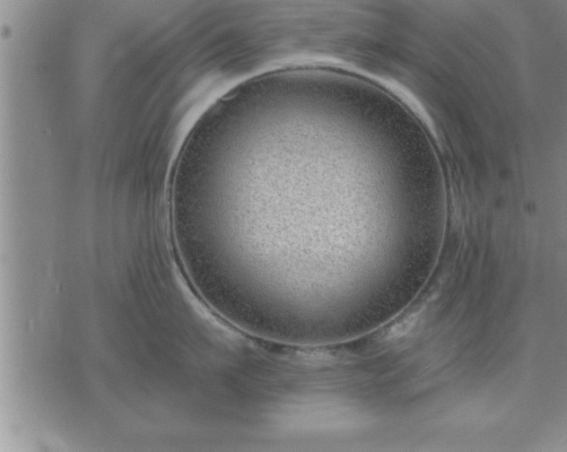 X0000075840911200609221702