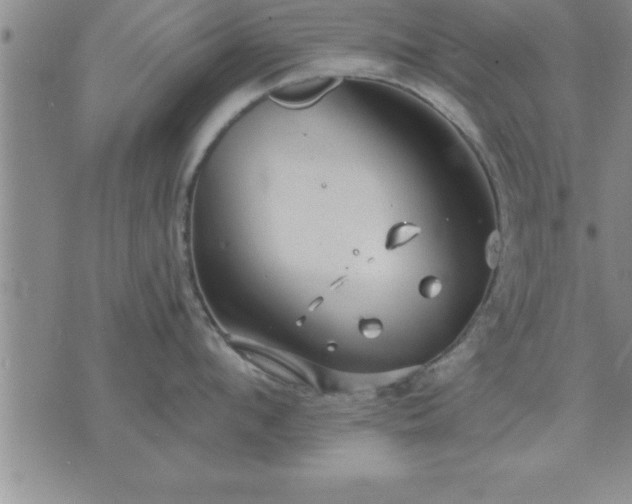 X0000075840912200609221702