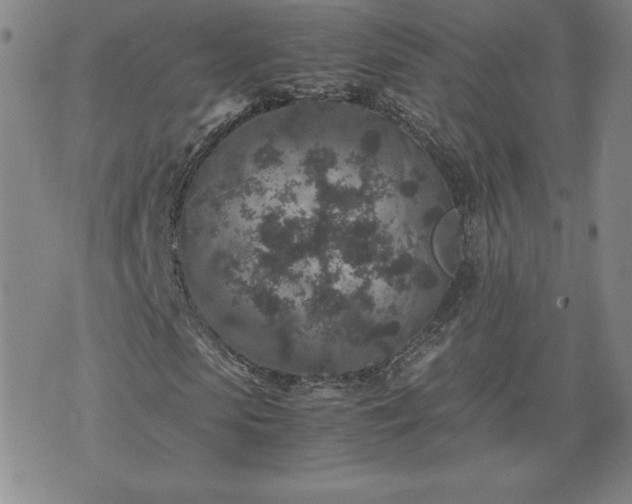 X0000075840913200609221701