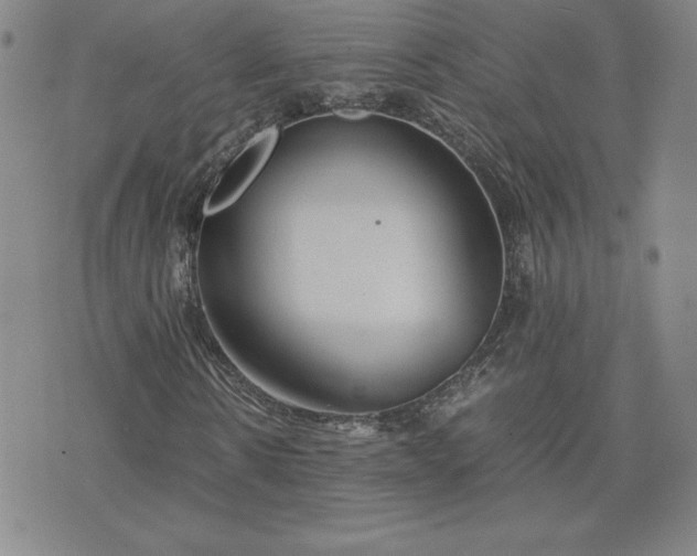 X0000075840914200609221701