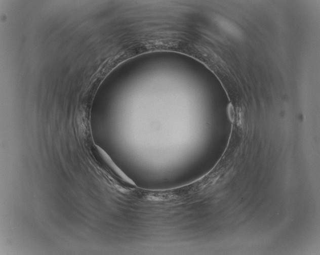 X0000075840915200609221701