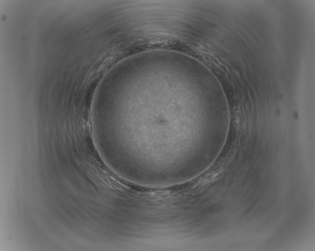 X0000075840916200609221701