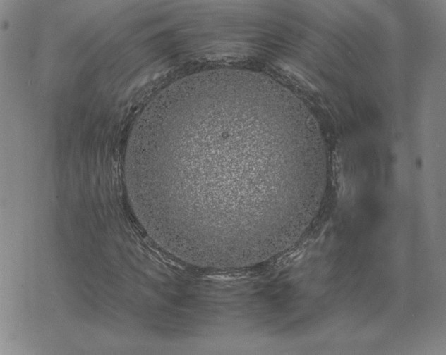 X0000075840917200609221701