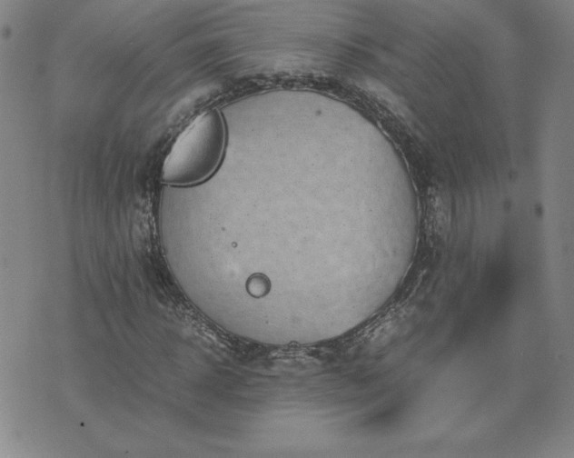 X0000075840918200609221701