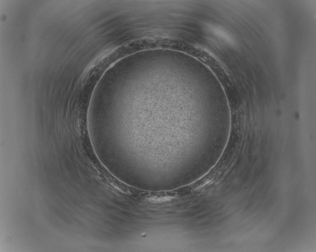 X0000075840919200609221701