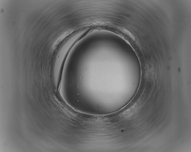 X0000075840922200609221701