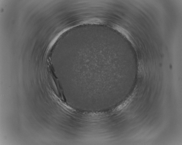 X0000075840923200609221701