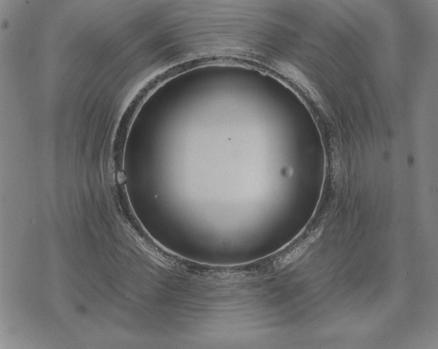 X0000075840924200609221701