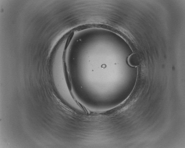 X0000075840926200609221701