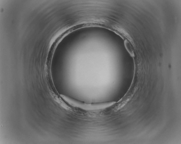 X0000075840928200609221701