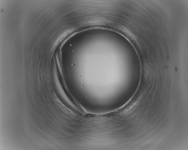 X0000075840930200609221701