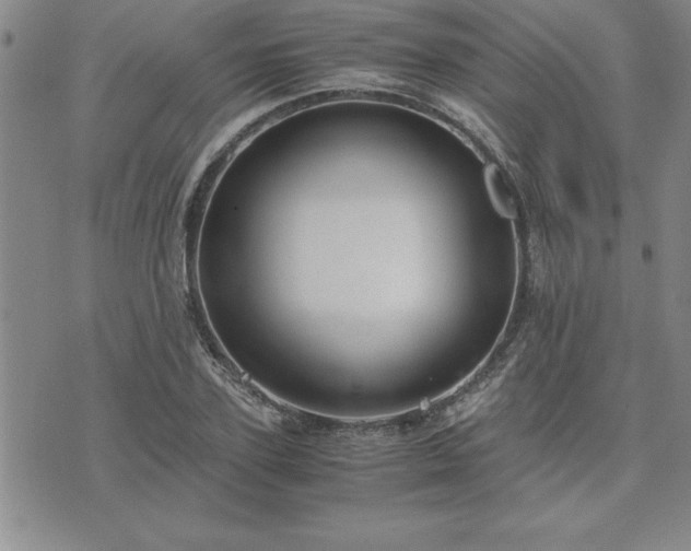 X0000075840931200609221701