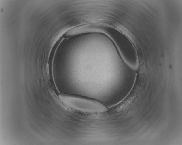 X0000075840932200609221701