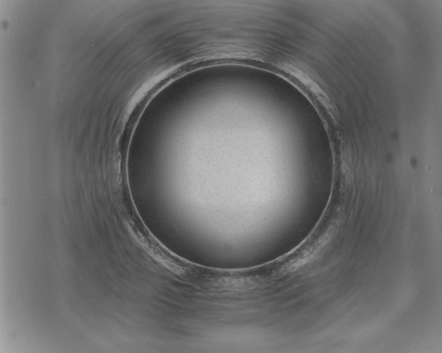 X0000075840933200609221701