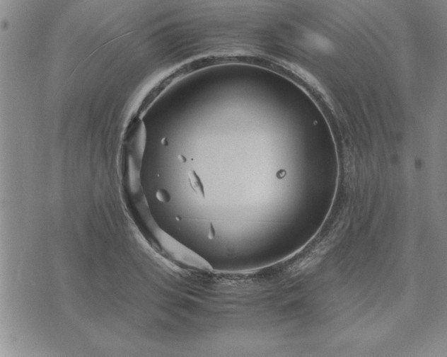 X0000075840935200609221701