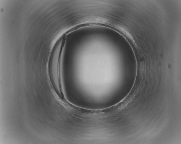 X0000075840936200609221701