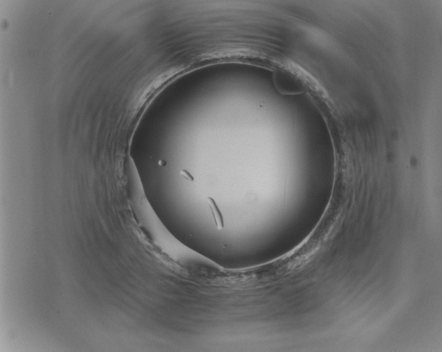 X0000075840937200609221701