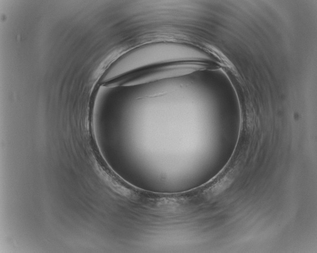 X0000075840938200609221701