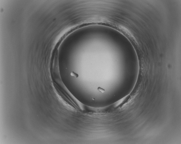 X0000075840942200609221701