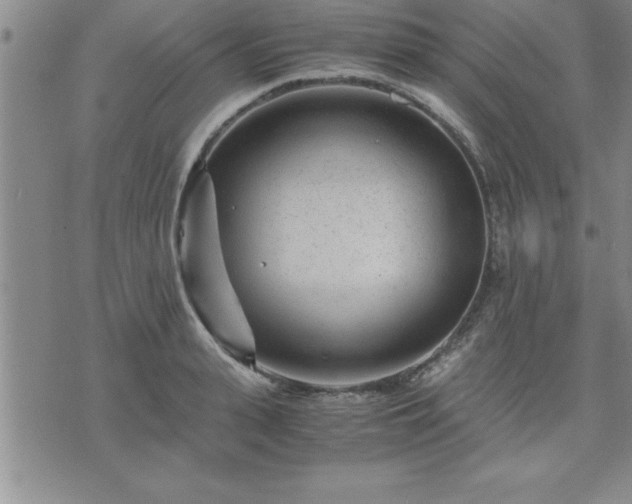 X0000075840943200609221701