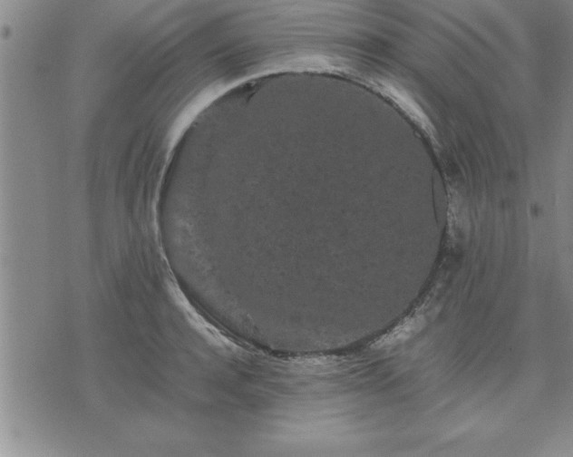 X0000075840944200609221701